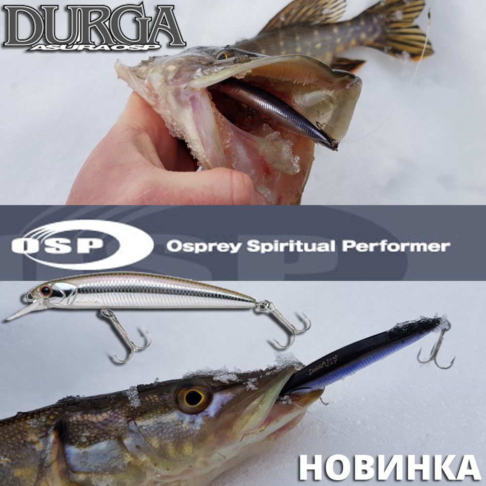 Новинка - воблер OSP Azura Durga 73SP