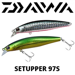 Daiwa ShoreLine Shiner-Z Setupper 97S
