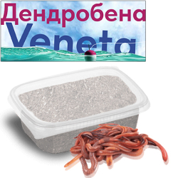 Червь Дендробена 20гр Мягкая пластиковая банка