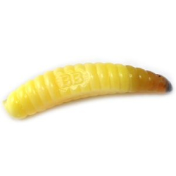 Силиконовая приманка Boroda Baits SiSiLiA 51 Floating цв. "Слеза ангела" (Сырный), 6 шт./уп.