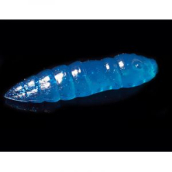 Силиконовая приманка Jara Baits Moli Fat 35 (Caviar+Pheromones) Color #318