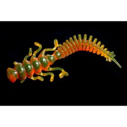 Силиконовая приманка Jara Baits Nessy 50 Мидия цв. #42