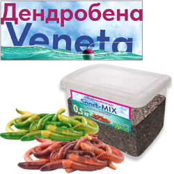 Червь Дендробена - 500гр.