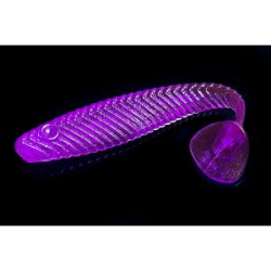 Силиконовая приманка Jara Baits Ruder 50 Мидия цв. #47