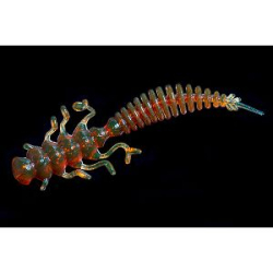 Силиконовая приманка Jara Baits Nessy 50 Мидия цв. #43