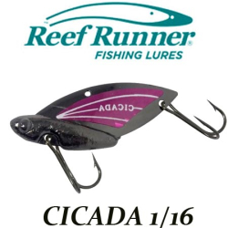 Reef Runner Cicada 1/16