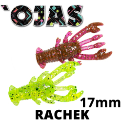 Ojas Rachek 17