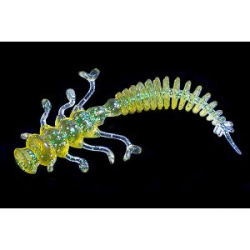 Силиконовая приманка Jara Baits Nessy 50 Мидия цв. #07