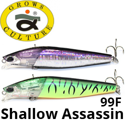 Grows Culture Shallow Assassin 99F