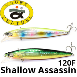 Grows Culture Shallow Assassin 120F