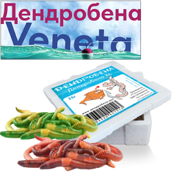 Червь Дендробена 25гр Коробочка пенопласт