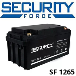 Security Force SF 1265