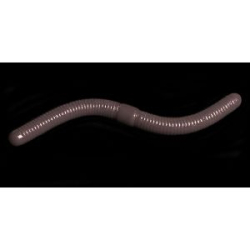 Силиконовая приманка Jara Royal Jum-Jum 80 (Сыр) Color #714