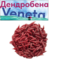 Опарыш Красный Средний 1000мл.