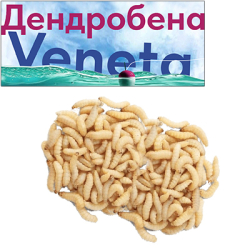 Опарыш Белый Средний 1000мл.