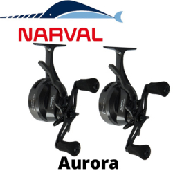 Narval Frost Aurora