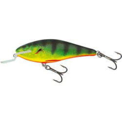 Воблер Salmo Executor SR 120 цв. RHP
