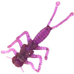 Нимфа Akara Nymph 413 (8 шт.)