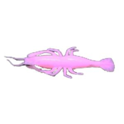 Мягкая приманка Wonder Trout Bait Shrimp-B 5,0 см цв. 007