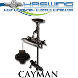 Haswing Cayman