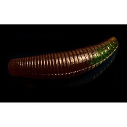 Силиконовая приманка Jara Baits Bruchi 40 (Caviar+Pheromones) Color #304