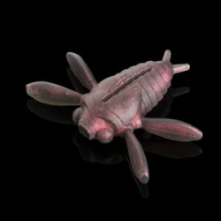 Силиконовая приманка Soorex Pro Bait Cicada 35mm цв. C507 brown pearl 3pcs