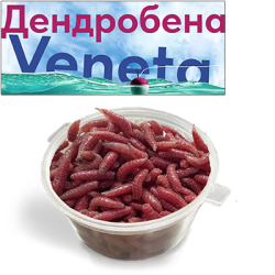 Опарыш Красный Средний 50мл