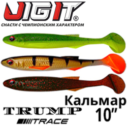 Jig It Trump Trace 10" Squid