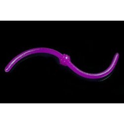 Силиконовая приманка Jara Jum-Jum 100 (Сыр) Color #28