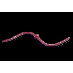 Силиконовая приманка Jara Jum-Jum 100 (Сыр) Color #06