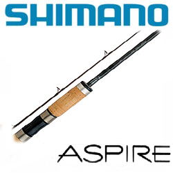 Shimano Aspire BX Salt Water 