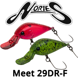 Nories Meet 29DR-F