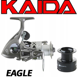 Kaida Eagle