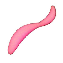 Мягкая приманка Trout Zone Double Maggot 1,1+0,7" (12 шт) розовый сыр