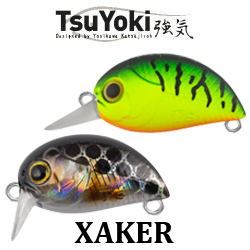 TsuYoki Xaker