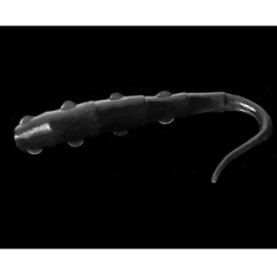 Силиконовая приманка Trout Baits Jara Tango Worm 78 цвет #02