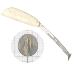 Квок Капитанова - Универсальный звонкий