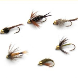 Набор нимф с вольфрамовой головкой PFG Classic Tungsten Bead Nymph №1 р. М, 6шт