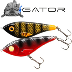 Gator