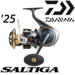 Daiwa 25 Saltiga