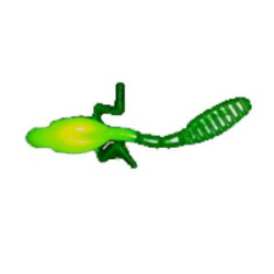 Мягкая приманка Wonder Trout Bait Tabpole 7,0 см цв. D026