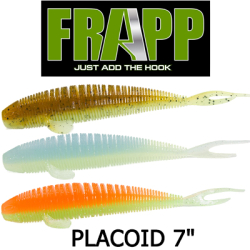 Frapp Placoid 7"