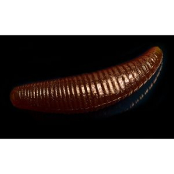 Силиконовая приманка Jara Baits Bruchi 40 (Банан) Color #06