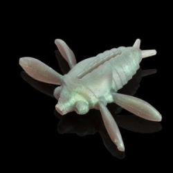 Силиконовая приманка Soorex Pro Bait Cicada 35mm цв. C504 light green pearl 3pcs