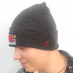 Шапка PAL серая р. 55-58