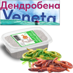 Червь Дендробена 25гр. Жесткая пластиковая банка