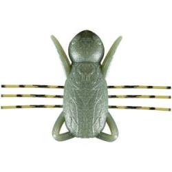 Силиконовая приманка Жук Reins Hanesector 1.5" F02 Watermelon