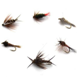 Набор нимф PFG Classic Nymph №1 р. S, 6шт