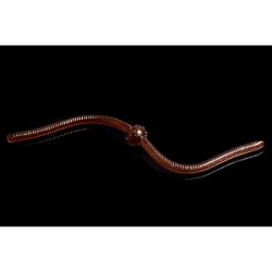 Силиконовая приманка Jara Jum-Jum 100 (Банан) Color #04