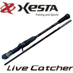 Xesta Live Catcher